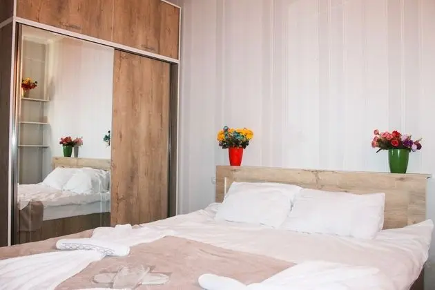 Standard Tek Büyük Yataklı Oda, 1 Büyük (Queen) Boy Yatak, Şehir Manzaralı