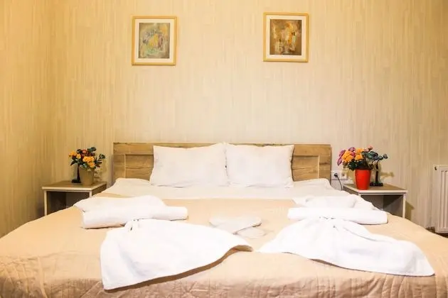 Standard Tek Büyük Yataklı Oda, 1 Büyük (Queen) Boy Yatak, Şehir Manzaralı