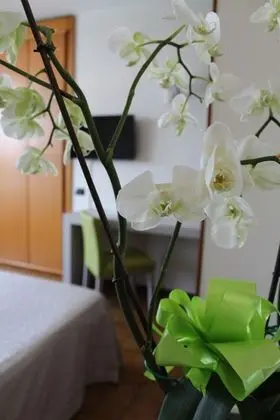 Economy Tek Büyük Yataklı Oda, Balkon, Bahçe Manzaralı