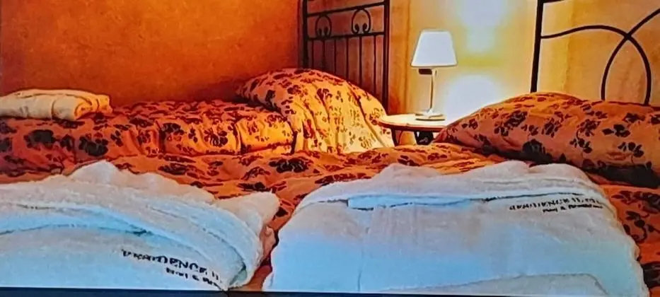 Standard Üç Kişilik Oda, Özel Banyo, Bahçe Manzaralı (Acero)