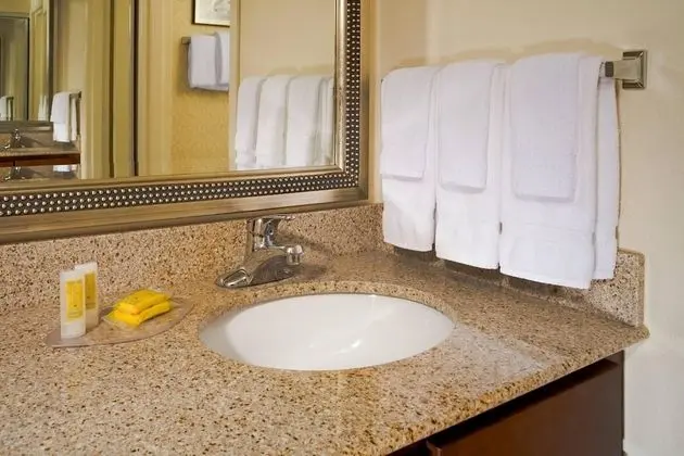 Stüdyo, 1 En Büyük (King) Boy Yatak ve Çekyat (Mobility/Hearing Accessible, Tub)