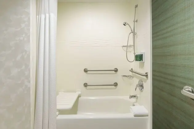 Stüdyo, 1 Büyük (Queen) Boy Yatak ve Çekyat (Mobility Accessible, Tub)