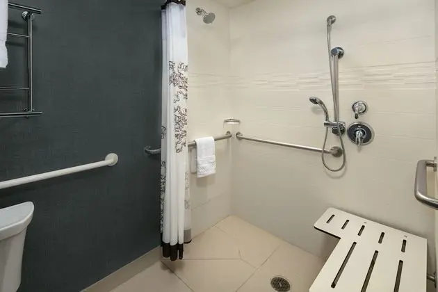 Stüdyo, 1 En Büyük (King) Boy Yatak ve Çekyat (Mobility/Hearing Access, Roll-In Shwr)