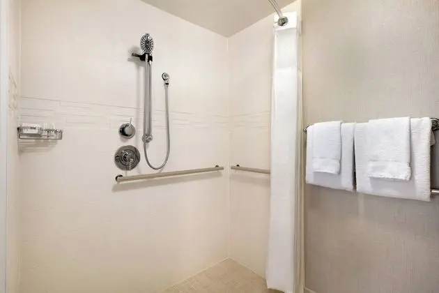Süit, 1 Yatak Odası, Şehir Manzaralı (Mobility/Hearing Access, Roll-In Shwr)