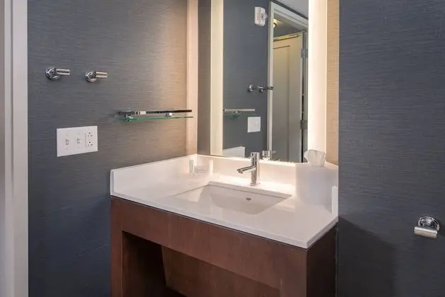 Stüdyo, 1 En Büyük (King) Boy Yatak ve Çekyat (Mobility Accessible, Roll-In Shower)