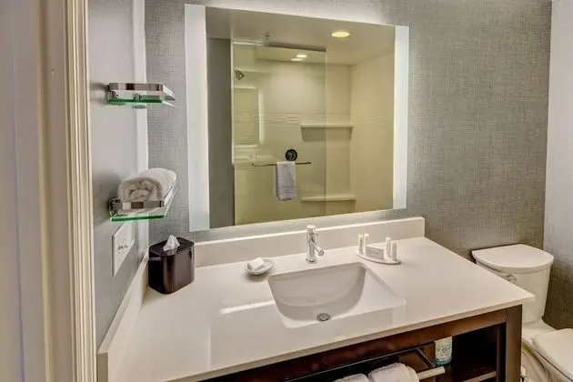 Süit, 1 Yatak Odası, Dağ Manzaralı (Hearing Accessible)