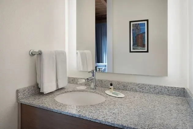 Stüdyo, 1 En Büyük (King) Boy Yatak ve Çekyat (Mobility Accessible, Tub)