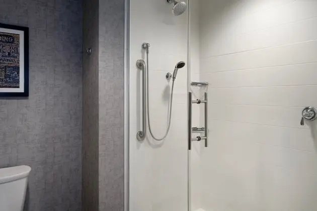 Stüdyo, 1 En Büyük (King) Boy Yatak ve Çekyat (Mobility Accessible, Tub)