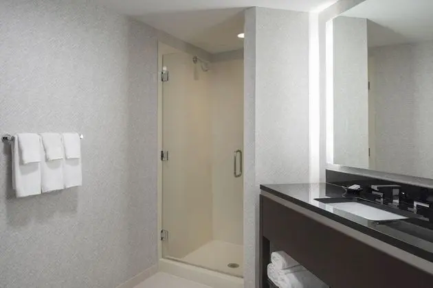 Süit, 1 Yatak Odası (Mobility Accessible, Roll-In Shower)