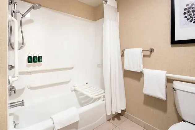 Stüdyo, 1 En Büyük (King) Boy Yatak ve Çekyat (Mobility/Hearing Accessible, Tub)