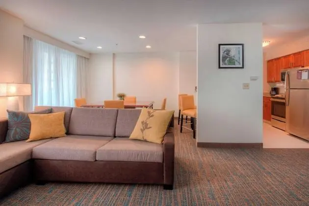 Executive Süit, 1 Yatak Odası, Şehir Manzaralı