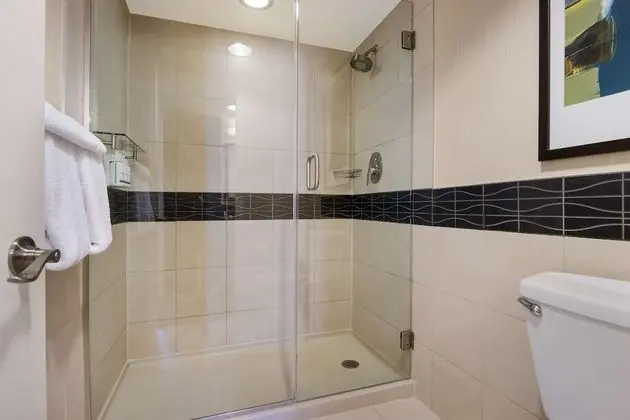 Stüdyo, 1 En Büyük (King) Boy Yatak ve Çekyat (Lake View)