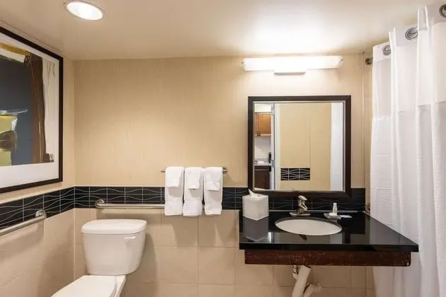 Stüdyo, 1 En Büyük (King) Boy Yatak ve Çekyat (Lake View)