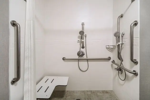 Stüdyo, 1 En Büyük (King) Boy Yatak ve Çekyat (Mobility/Hearing Access, Roll-In Shwr)