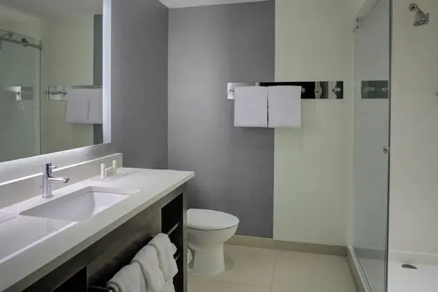 Stüdyo, 1 En Büyük (King) Boy Yatak ve Çekyat (Mobility/Hearing Access, Roll-In Shwr)