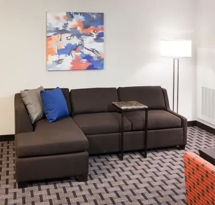 Stüdyo Süit, 1 En Büyük (King) Boy Yatak ve Çekyat (Mobility Accessible, Roll-In Shower)