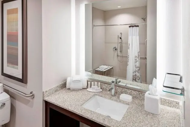 Stüdyo Süit, 1 En Büyük (King) Boy Yatak ve Çekyat (Mobility Accessible, Roll-In Shower)