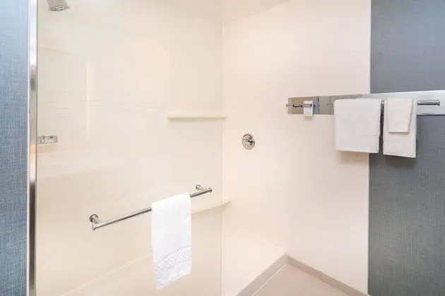 Stüdyo Süit, 1 En Büyük (King) Boy Yatak ve Çekyat