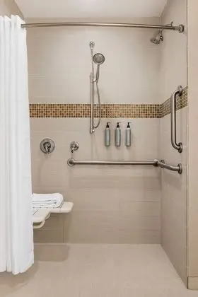 Stüdyo, 1 En Büyük (King) Boy Yatak ve Çekyat (Mobility Accessible, Roll-In Shower)