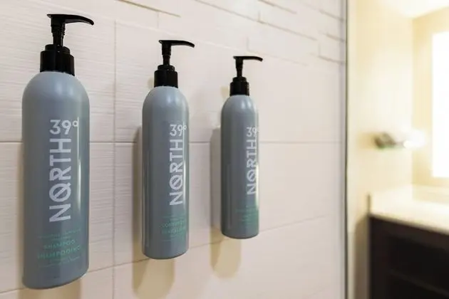 Stüdyo, 1 En Büyük (King) Boy Yatak ve Çekyat (Mobility Accessible, Roll-In Shower)