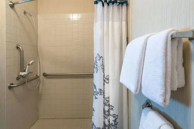 Stüdyo, 1 En Büyük (King) Boy Yatak ve Çekyat (Mobility Accessible, Roll-In Shower)