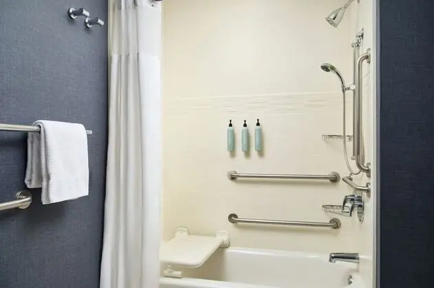 Süit, 1 Yatak Odası, Engellilere Uygun, Sigara İçilmez (Mobility & Hearing w/ Tub)