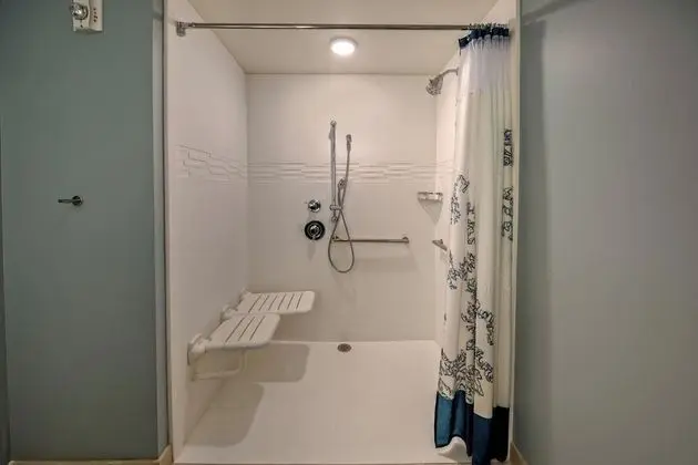 Süit, 1 En Büyük (King) Boy Yatak ve Çekyat (Mobility Accessible, Roll-In Shower)