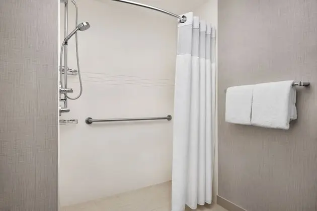 Süit, 1 Çift Kişilik Yatak, Manzarasız (Mobility Accessible, Roll-In Shower)