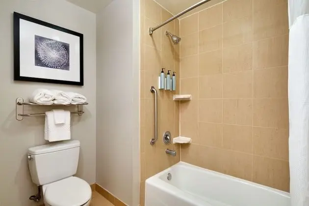 Stüdyo Süit, 1 En Büyük (King) Boy Yatak ve Çekyat (Mobility/Hearing Accessible, Tub)