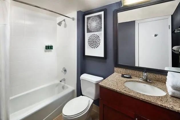 Çatı Katı Süiti (Penthouse), 1 Çift Kişilik Yatak