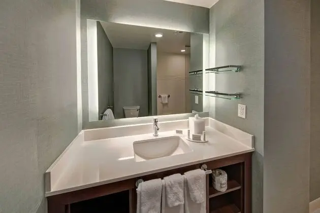 Deluxe Stüdyo, 1 En Büyük (King) Boy Yatak ve Çekyat, Şehir Manzaralı (Hearing Accessible)