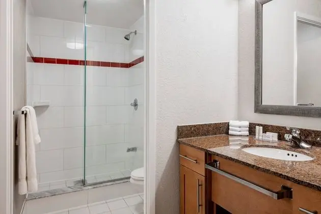 Stüdyo, 1 En Büyük (King) Boy Yatak ve Çekyat, Şehir Manzaralı