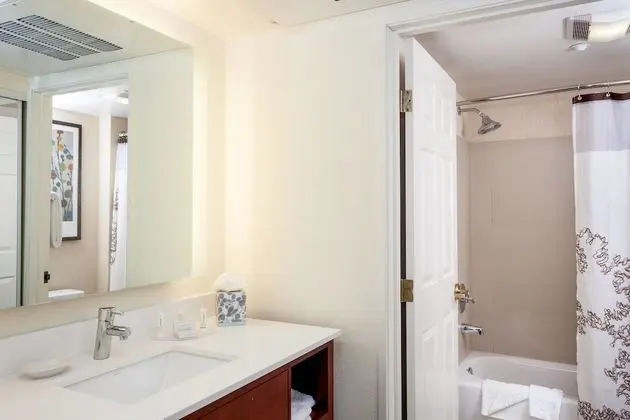 Stüdyo, 1 En Büyük (King) Boy Yatak ve Çekyat (Mobility/Hearing Accessible, Tub)