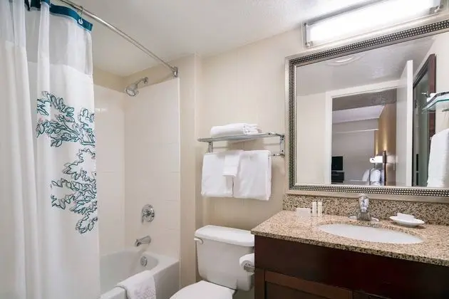 Stüdyo, 1 En Büyük (King) Boy Yatak ve Çekyat (Mobility/Hearing Accessible, Tub)