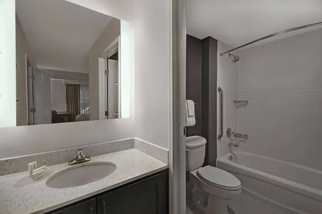 Stüdyo, 1 Büyük (Queen) Boy Yatak ve Çekyat (Mobility/Hearing Accessible, Tub)