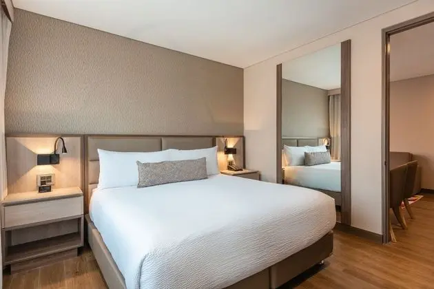 Stüdyo, 1 En Büyük (King) Boy Yatak ve Çekyat, Şehir Manzaralı