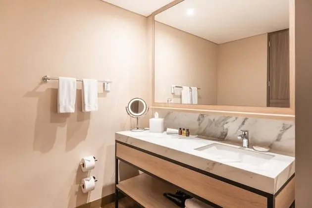 Stüdyo, 1 En Büyük (King) Boy Yatak ve Çekyat, Şehir Manzaralı