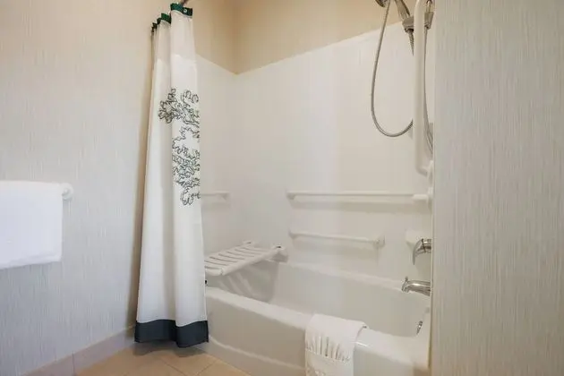 Stüdyo, 1 En Büyük (King) Boy Yatak ve Çekyat (Mobility/Hearing Accessible, Tub)