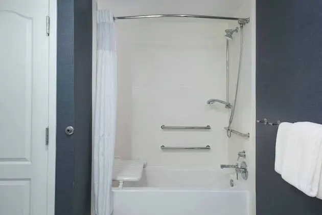 Stüdyo, 1 Büyük (Queen) Boy Yatak ve Çekyat (Mobility/Hearing Accessible, Tub)