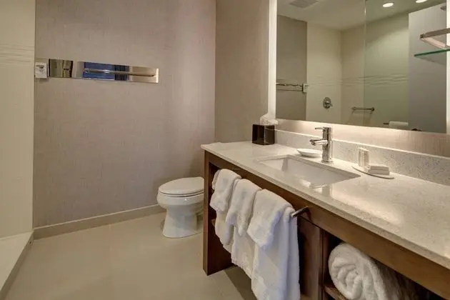 Süit, 1 Yatak Odası, Sigara İçilmez