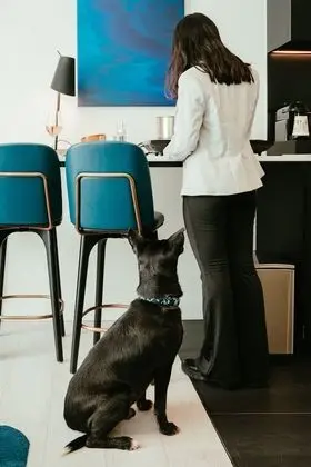 Standard Stüdyo, 1 En Büyük (King) Boy Yatak, Sigara İçilmez