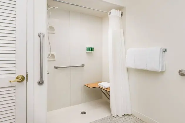 Stüdyo, 1 Büyük (Queen) Boy Yatak ve Çekyat (Mobility Accessible, Roll-In Shower)