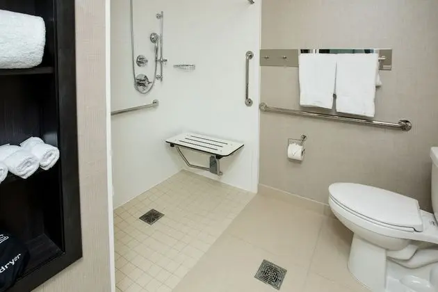 Stüdyo, 1 En Büyük (King) Boy Yatak ve Çekyat (Mobility Accessible, Tub)