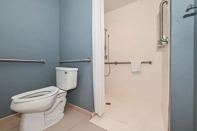 Süit, 1 Yatak Odası, Sigara İçilmez, Balkon