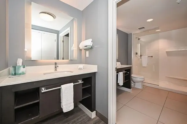 Süit, 1 Yatak Odası, Sigara İçilmez, Balkon