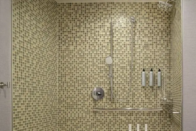 Stüdyo, 1 En Büyük (King) Boy Yatak (Mobility Accessible, Roll-In Shower)