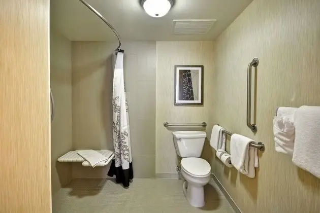 Stüdyo, 1 En Büyük (King) Boy Yatak ve Çekyat (Mobility Accessible, Tub)