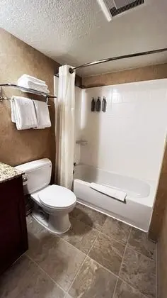 Çatı Katı Süiti (Penthouse), 1 Yatak Odası, Sigara İçilmez