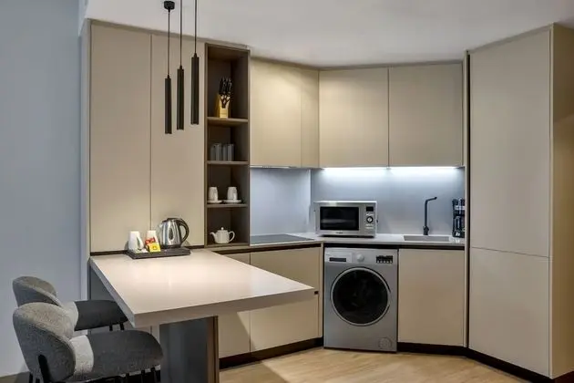 Premium Süit, 1 Yatak Odası, Şehir Manzaralı