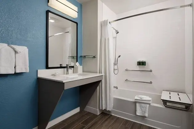 Premium Stüdyo, 1 Büyük (Queen) Boy Yatak ve Çekyat, Engellilere Uygun (Mobility w/ Tub)